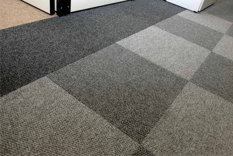 Carpetes em Placa Santana - Carpete em Placa 50x50
